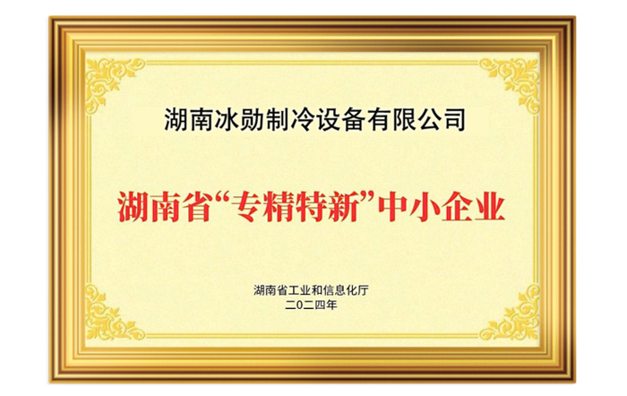 喜報 | 我司榮獲2024年湖南省專精特新中小企業榮譽稱號